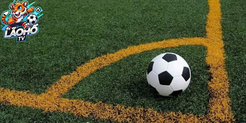 Các Câu Hỏi Thường Gặp Về Soi Kèo Bóng Đá Tại Lão Hổ TV