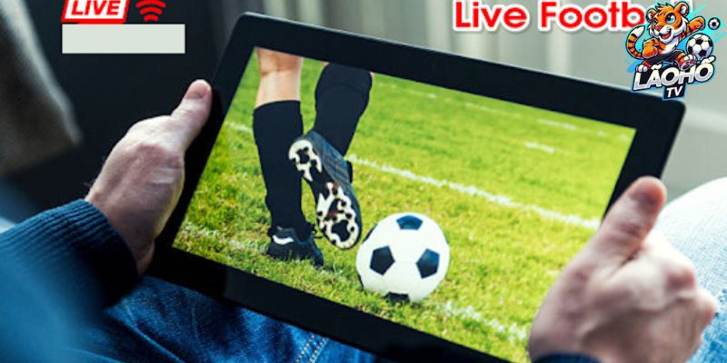 Hướng dẫn sử dụng Lão Hổ TV cho người mới