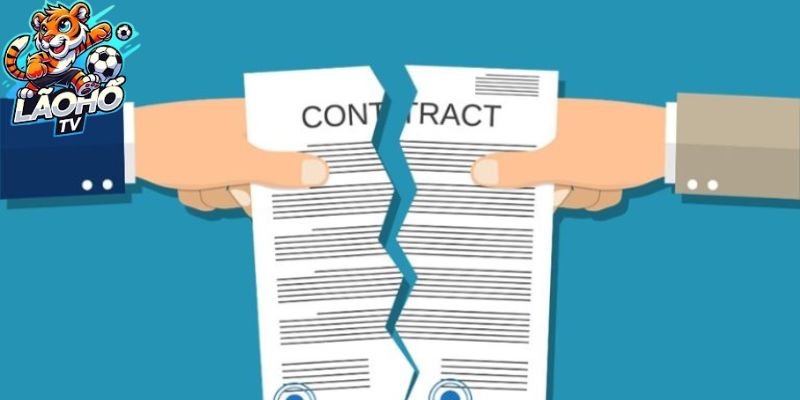 Chính sách bồi thường và xử lý vi phạm