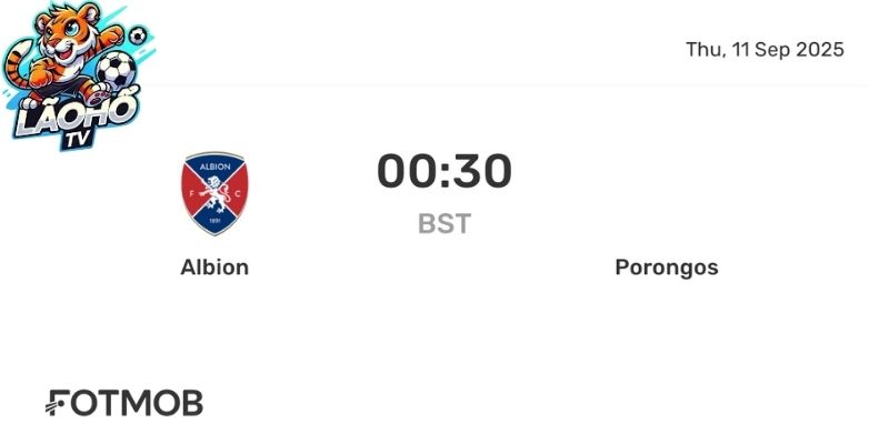 Dự đoán tỉ số Albion vs Porongos – Cược sao cho chuẩn?