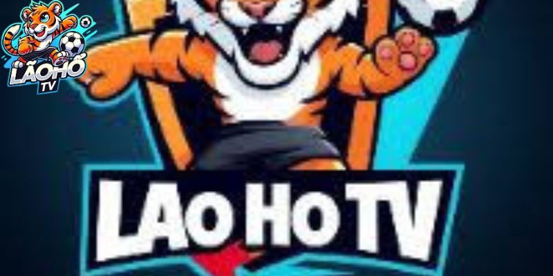 FAQ - Các câu hỏi thường gặp về Về chúng tôi Lão Hổ TV