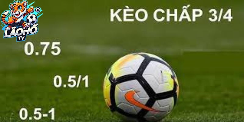 FAQ - Những thắc mắc phổ biến về Kèo 3/4 và xem thể thao tại Lão Hổ TV