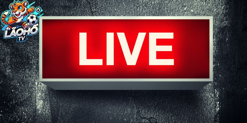 FAQs về Miễn trừ trách nhiệm Lão Hổ TV và Xem Live Thể Thao Tại Lão Hổ TV