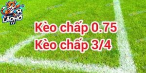 Kèo 3/4 là gì - Hiểu rõ chiến thuật đặt cược trong xổ số và cá cược thể thao