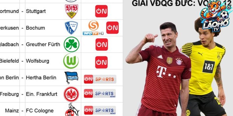 Lão Hổ TV Phát sóng Các giải Vô địch Châu Âu