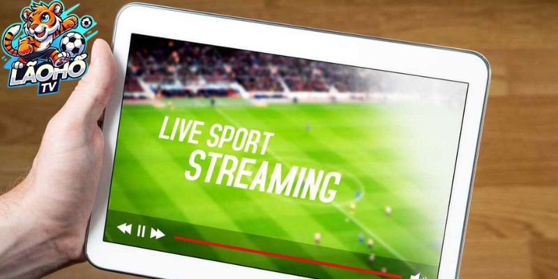 Xem Live Thể Thao Tại Lão Hổ TV