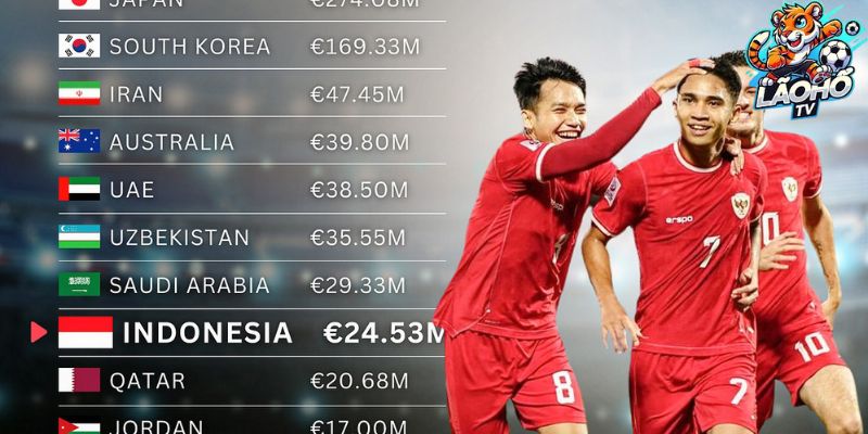 Phát sóng Các giải Đội tuyển World Cup, Euro & Châu Á