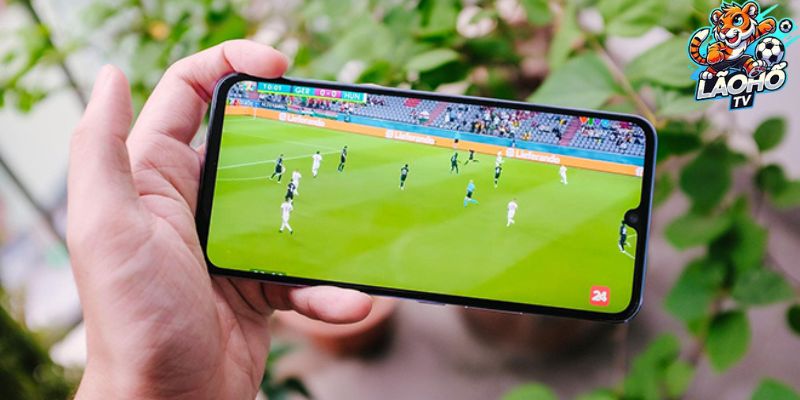 Tìm hiểu Kênh Lão hổ TV là gì