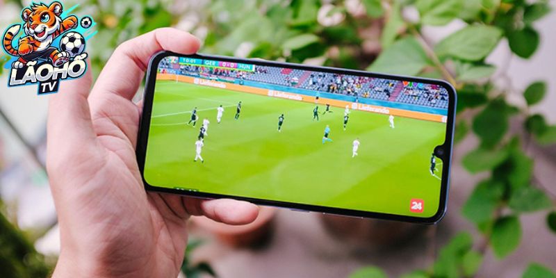 Xem Live Bóng Đá Tại Lão Hổ TV